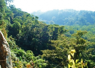  Canyon-Landschaft 